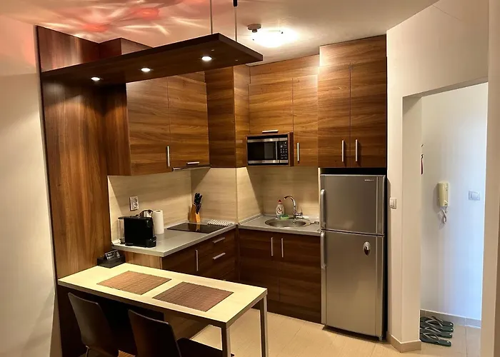 公寓 In Belvedere Club 班斯科