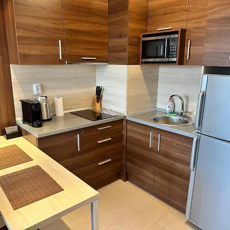 דירה In Belvedere Club בנסקו